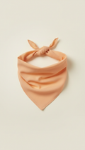 Mellow Apricot Dog Bandana
