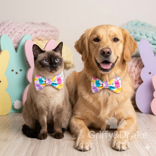 Jellybean Jubilee Bow Tie