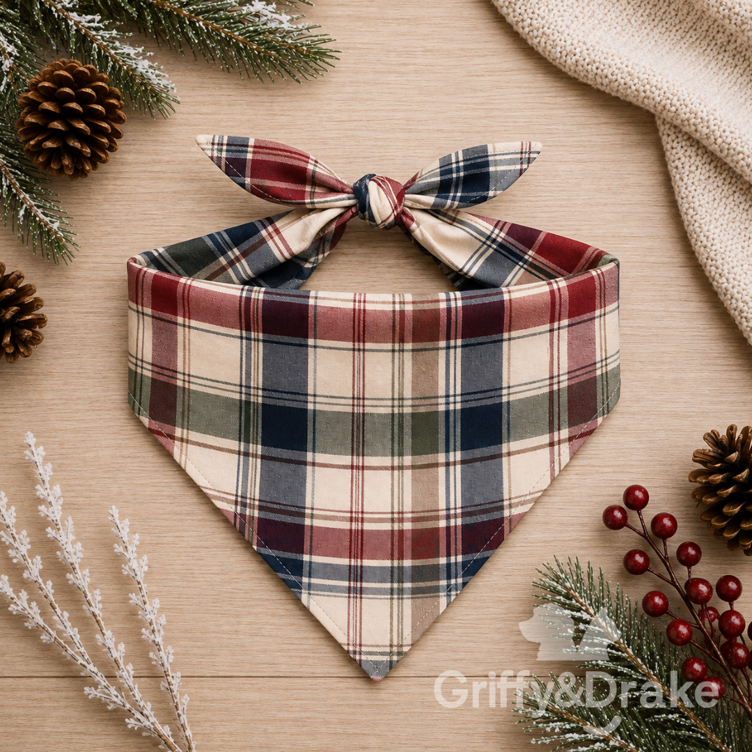 Simple Seasons Winter Bandana