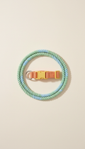 Leafy Green Leash and Collar Set